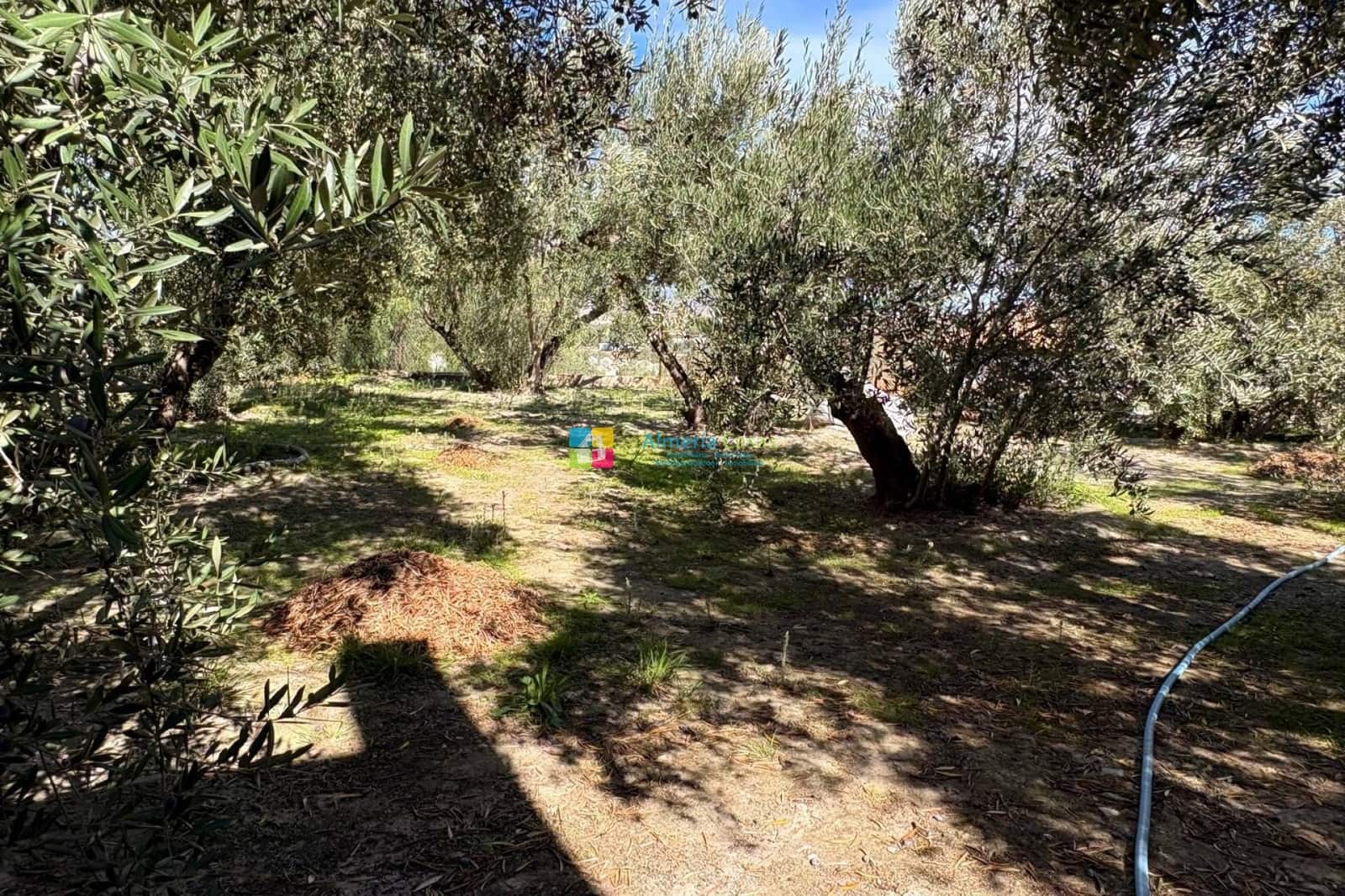 3 camera da letto Villa in vendita in Cantoria con piscina garage - 239.950 € (Rif: 9571921)