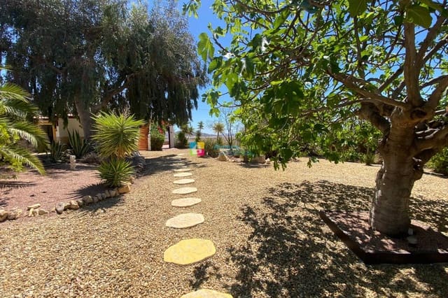 7 bedroom Finca/Country House for sale in Albox with pool - € 499,000 (Ref: 9623208)