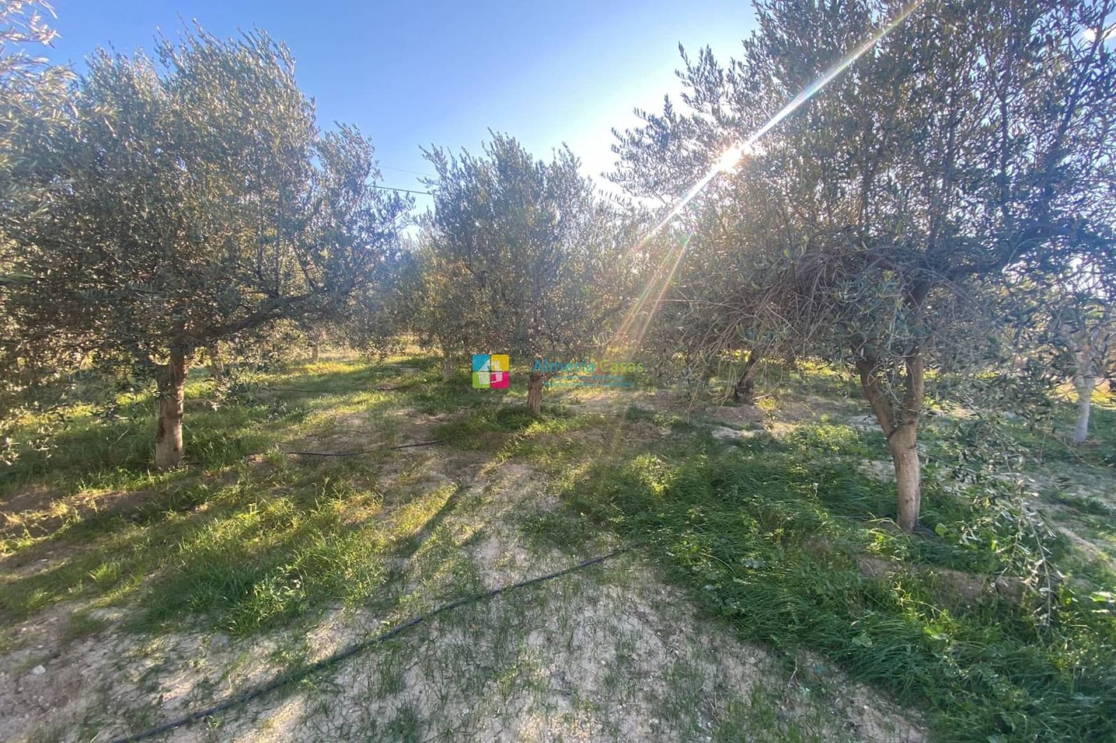 2 sypialnia Finka/Dom wiejski na sprzedaż w Fines - 86 000 € (Ref: 9628150)