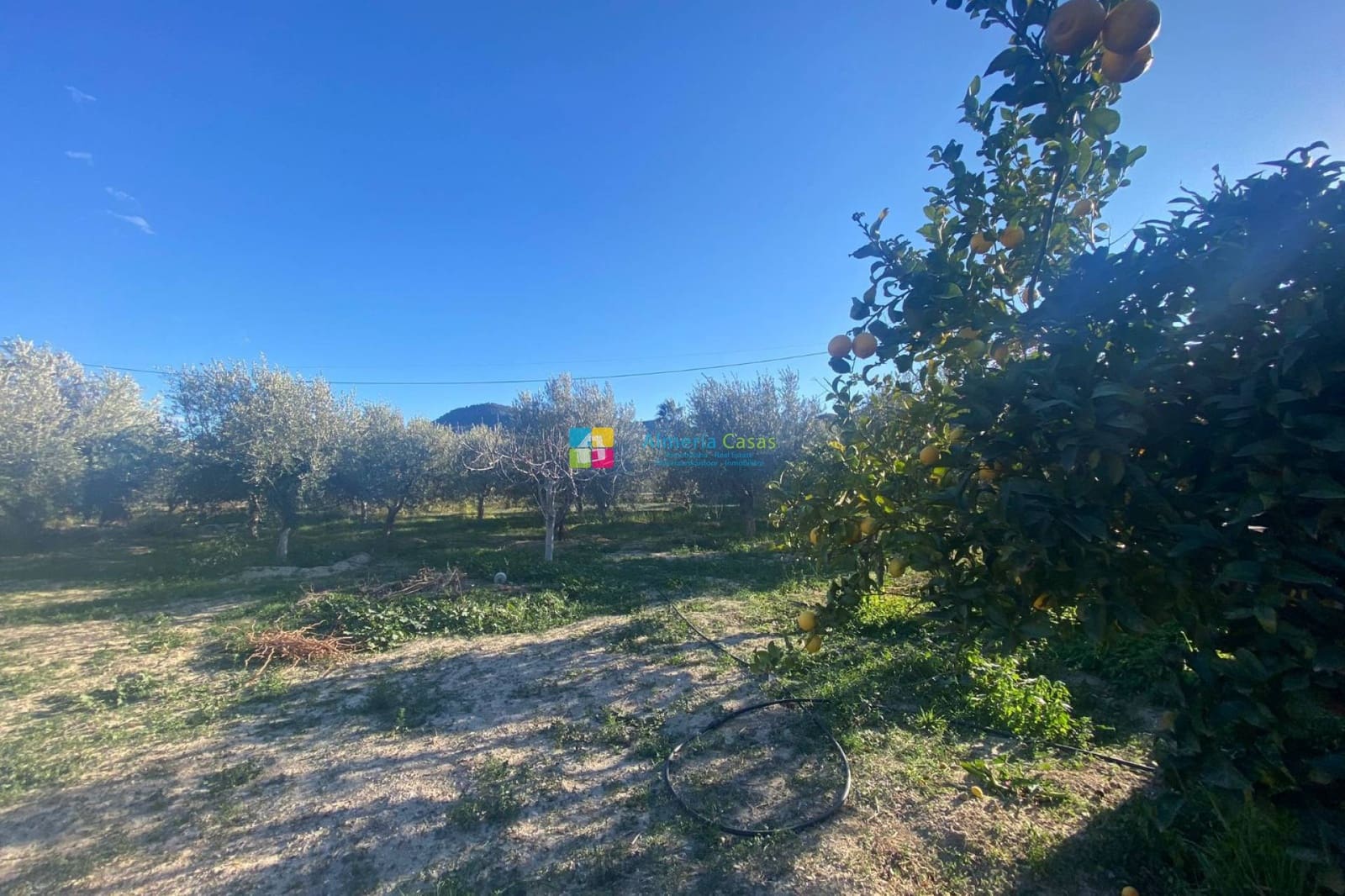 2 sypialnia Finka/Dom wiejski na sprzedaż w Fines - 86 000 € (Ref: 9628150)