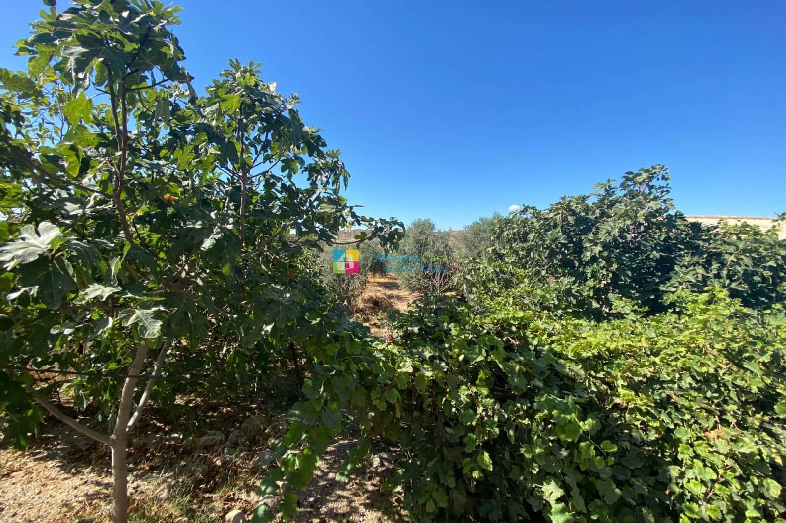 3 sypialnia Finka/Dom wiejski na sprzedaż w Huercal-Overa - 169 950 € (Ref: 9687490)