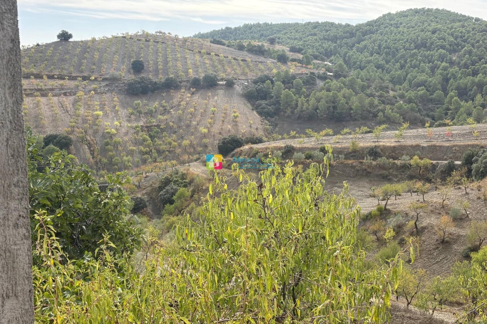 6 bedroom Finca/Country House for sale in Oria with pool - € 199,950 (Ref: 9713443)