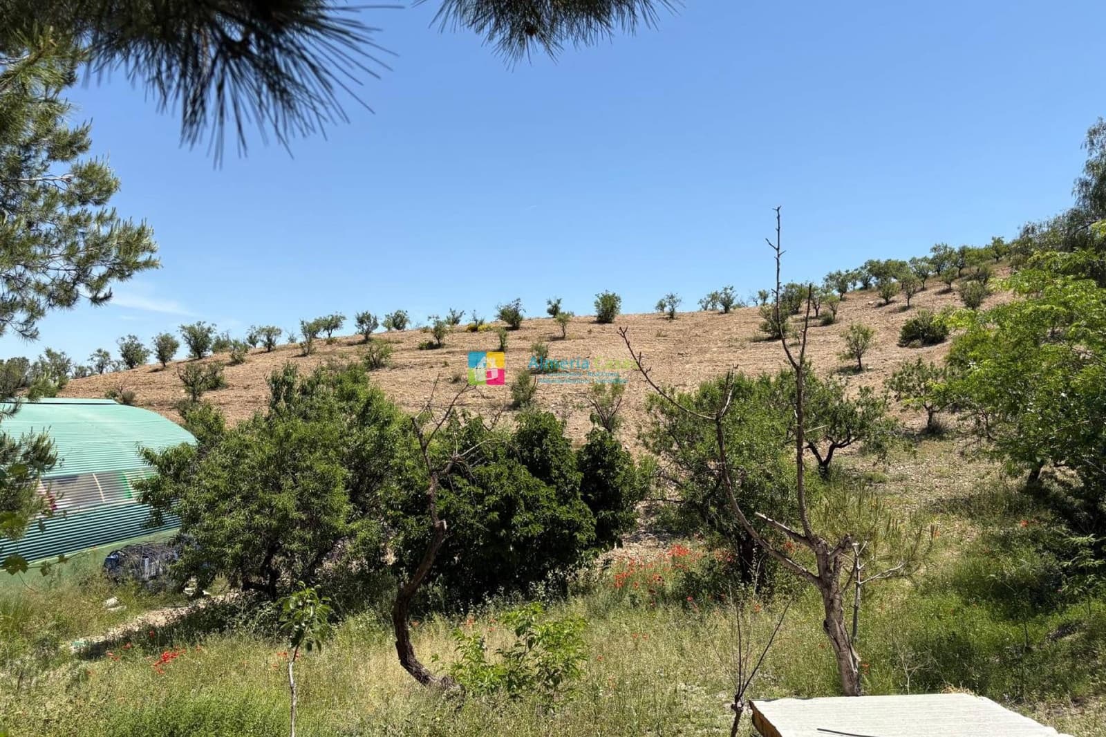 4 slaapkamer Finca/Landhuis te koop in Velez-Rubio - € 160.000 (Ref: 9797710)