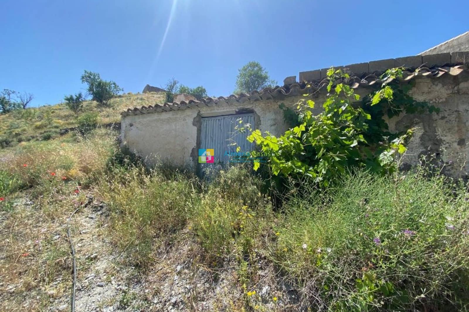 3 bedroom Finca/Country House for sale in Taberno - € 169,000 (Ref: 9832287)