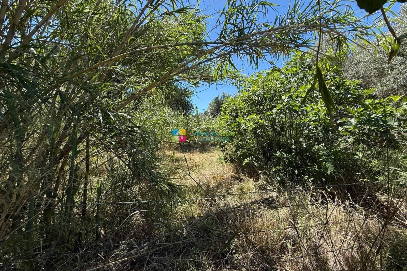 3 Zimmer Finca/Landgut zu verkaufen in Albanchez - 112.000 € (Ref: 9902200)