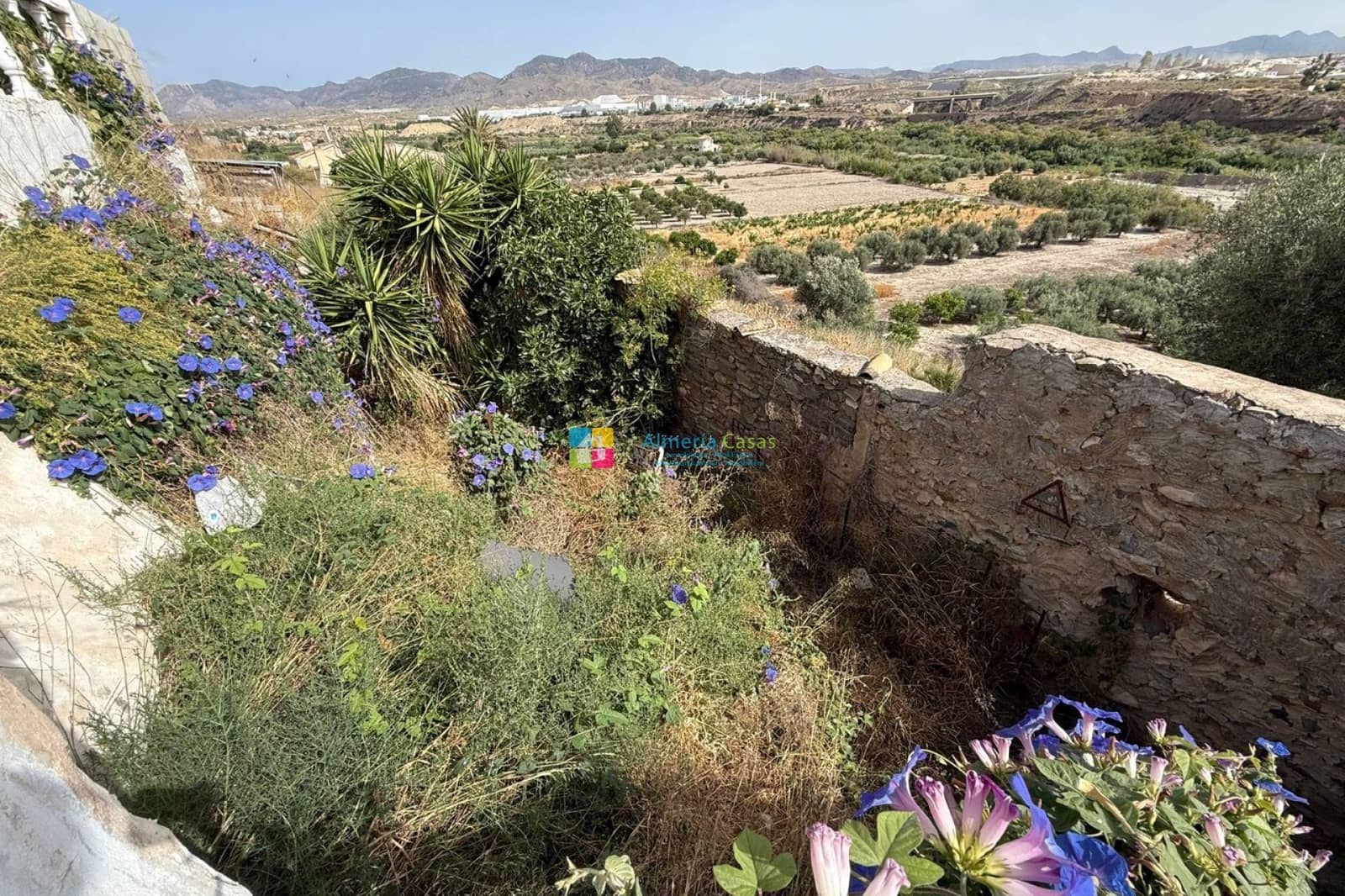 3 slaapkamer Finca/Landhuis te koop in Cantoria - € 95.000 (Ref: 9914815)