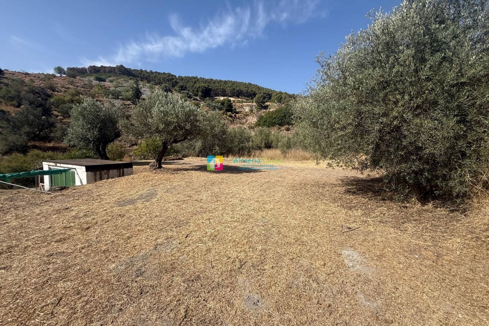4 chambre Finca/Maison de Campagne à vendre à Oria - 149 950 € (Ref: 9924923)