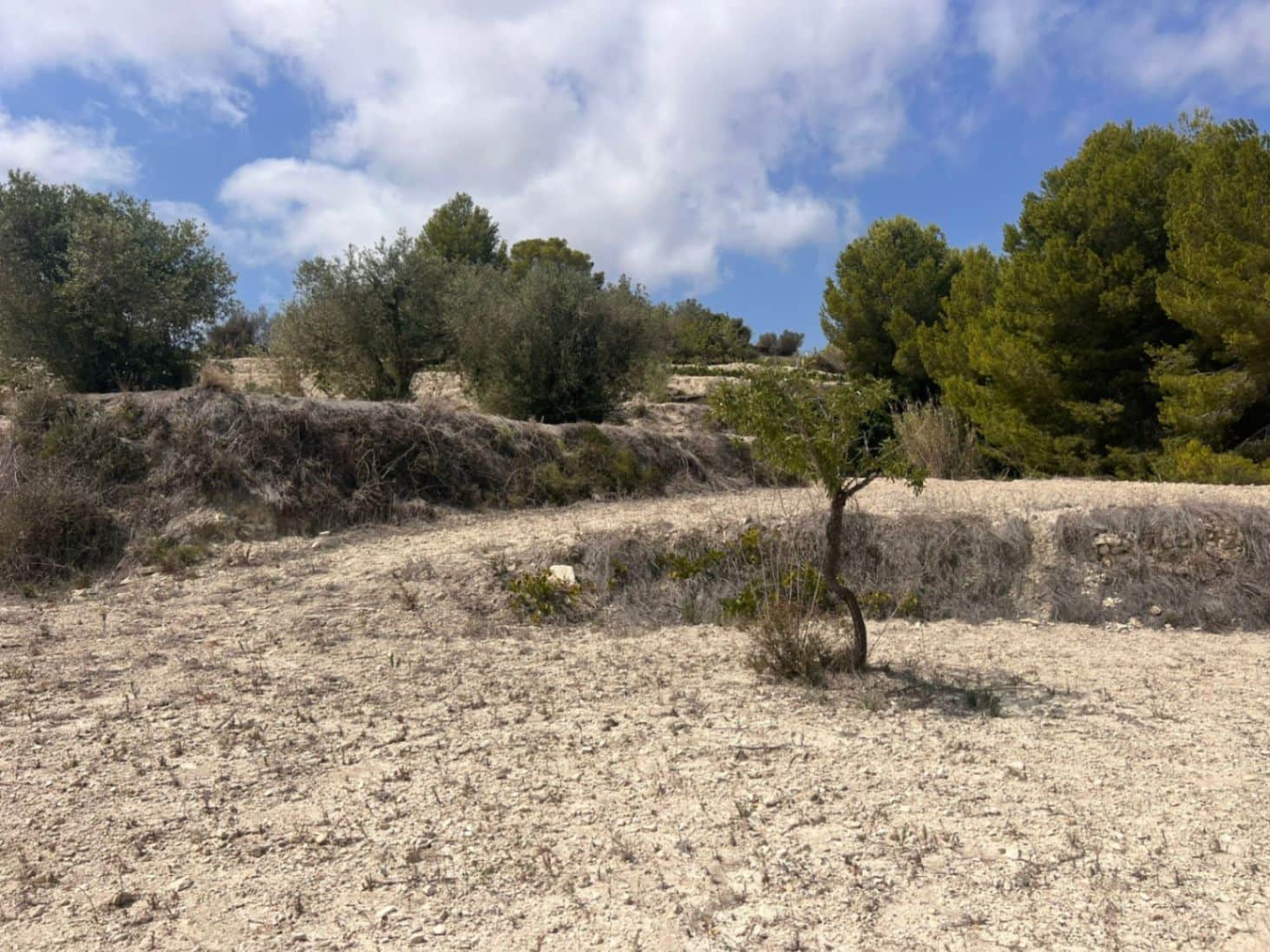 Bouwgrond te koop in Benissa - € 195.000 (Ref: 8700614)