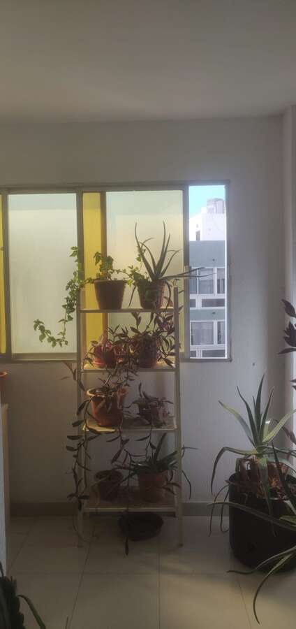 1 soverom Leilighet til salgs i Arrecife - € 120 000 (Ref: 10158872)
