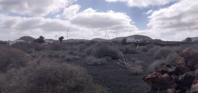 Tontti myytävänä paikassa Mala, Haría - 142 500 € (Ref: 8873894)