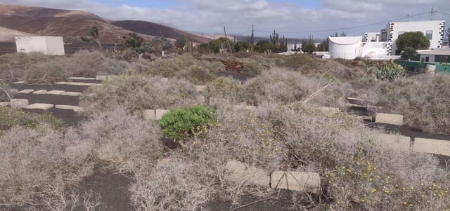 Tontti myytävänä paikassa Mala, Haría - 142 500 € (Ref: 8873894)