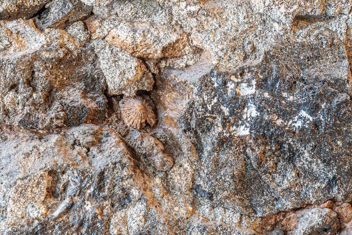 4 quarto Moradia para venda em Macher com garagem - 990 000 € (Ref: 9455721)