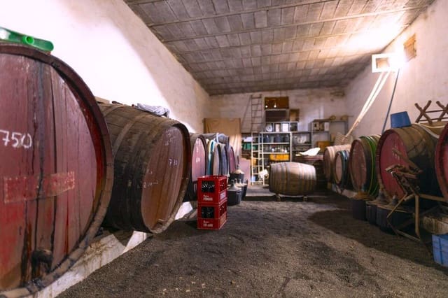 3 quarto Moradia para venda em Yaiza - 1 500 000 € (Ref: 9719371)