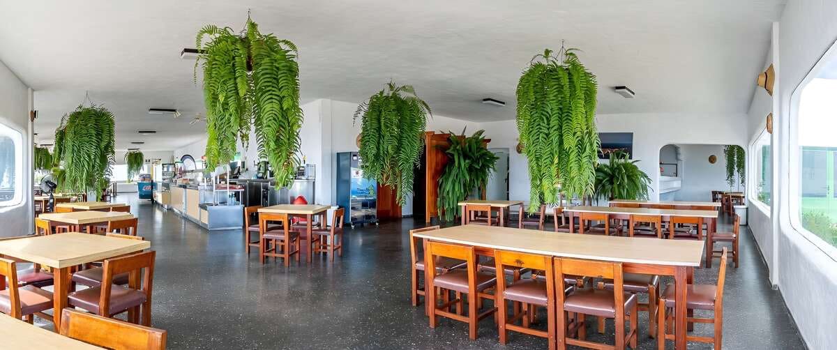 Commercial for sale in Haria with garage - € 920,000 (Ref: 9854761)