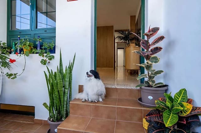 4 bedroom Semi-detached Villa for sale in Uga, Yaiza - € 349,000 (Ref: 9898622)