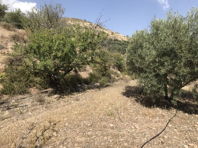 Grond te koop in Murchas, Lecrín - € 60.000 (Ref: 6898391)