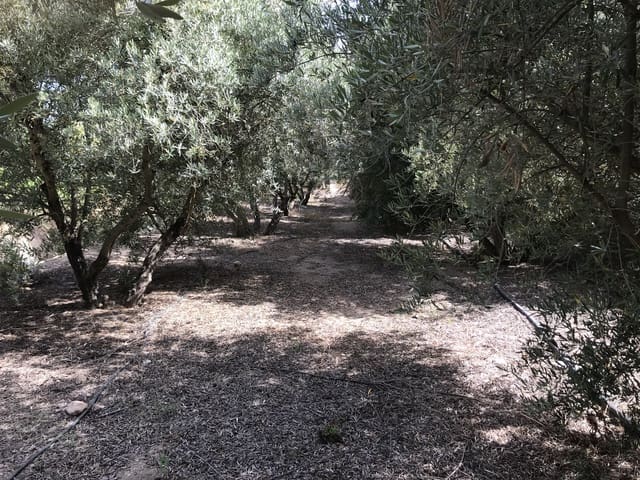 Grond te koop in Murchas, Lecrín - € 60.000 (Ref: 6898391)