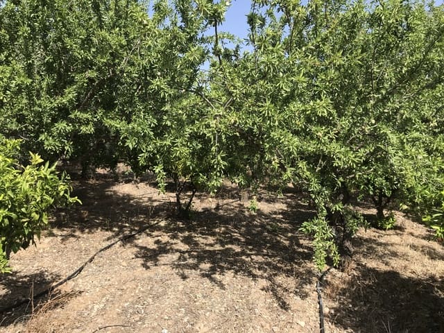 Grond te koop in Murchas, Lecrín - € 60.000 (Ref: 6898391)