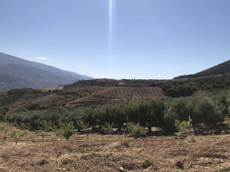 Grunde uden byggetilladelser til salg i Granada by - € 23.000 (Ref: 6898392)