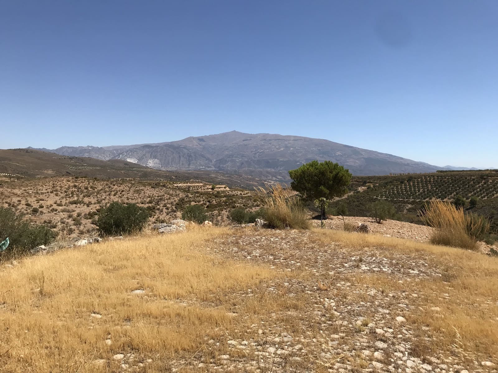 Ubebygd land til salgs i Albunuelas - € 150 000 (Ref: 6898393)