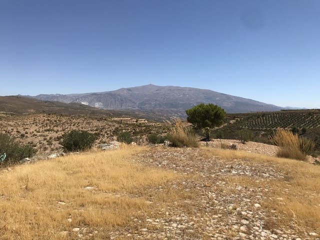 Teren niezagospodarowany na sprzedaż w Albuñuelas - 150 000 € (Ref: 6898393)