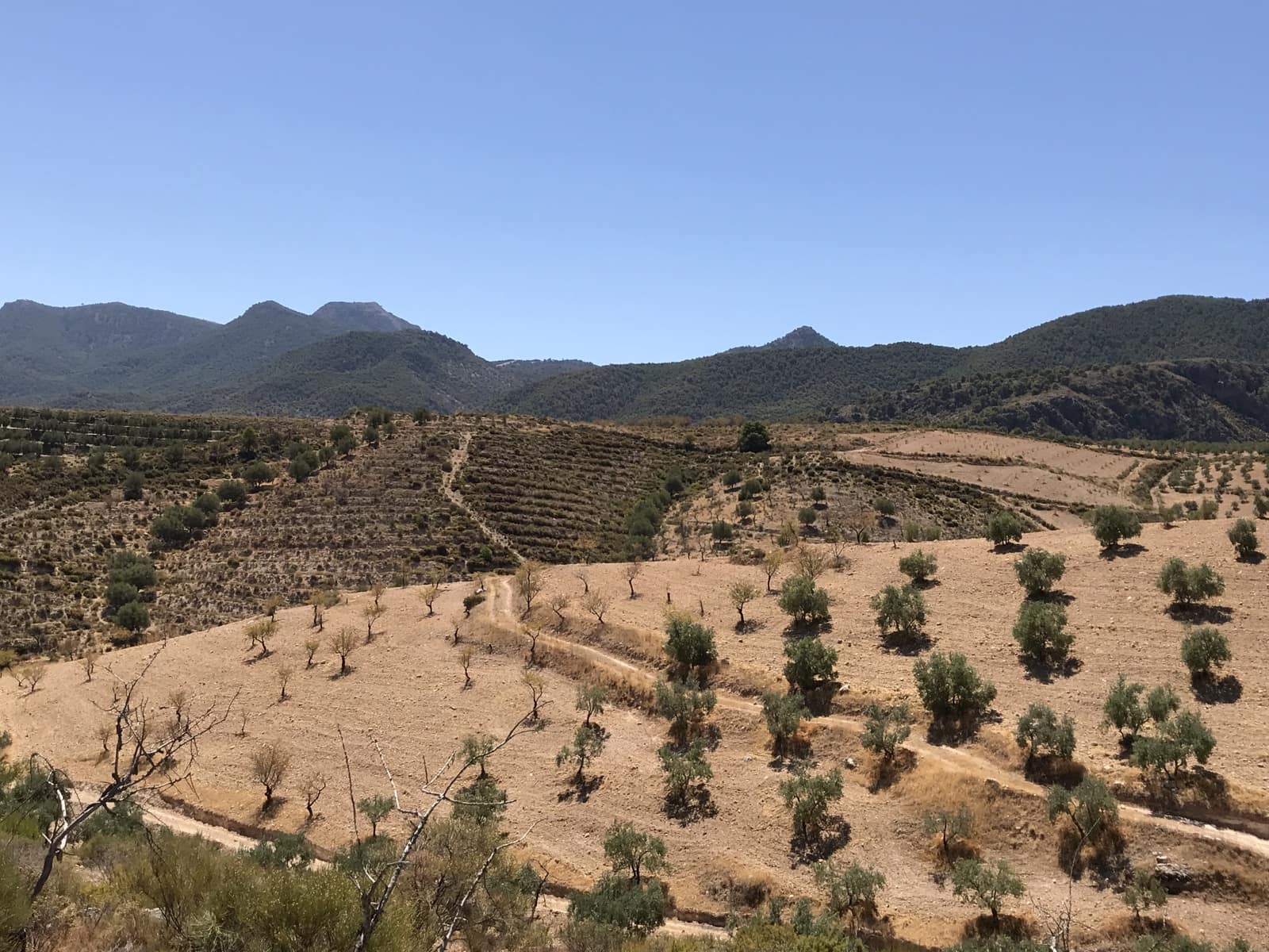 Ubebygd land til salgs i Albunuelas - € 150 000 (Ref: 6898393)