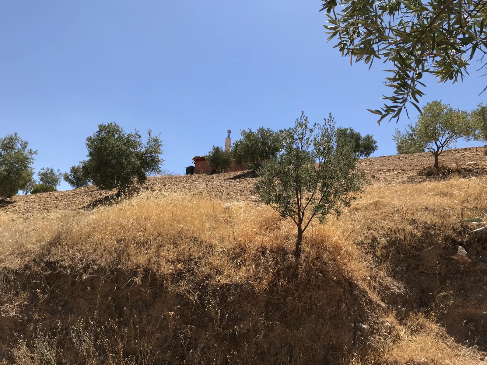 Ubebygd land til salgs i Albunuelas - € 150 000 (Ref: 6898393)