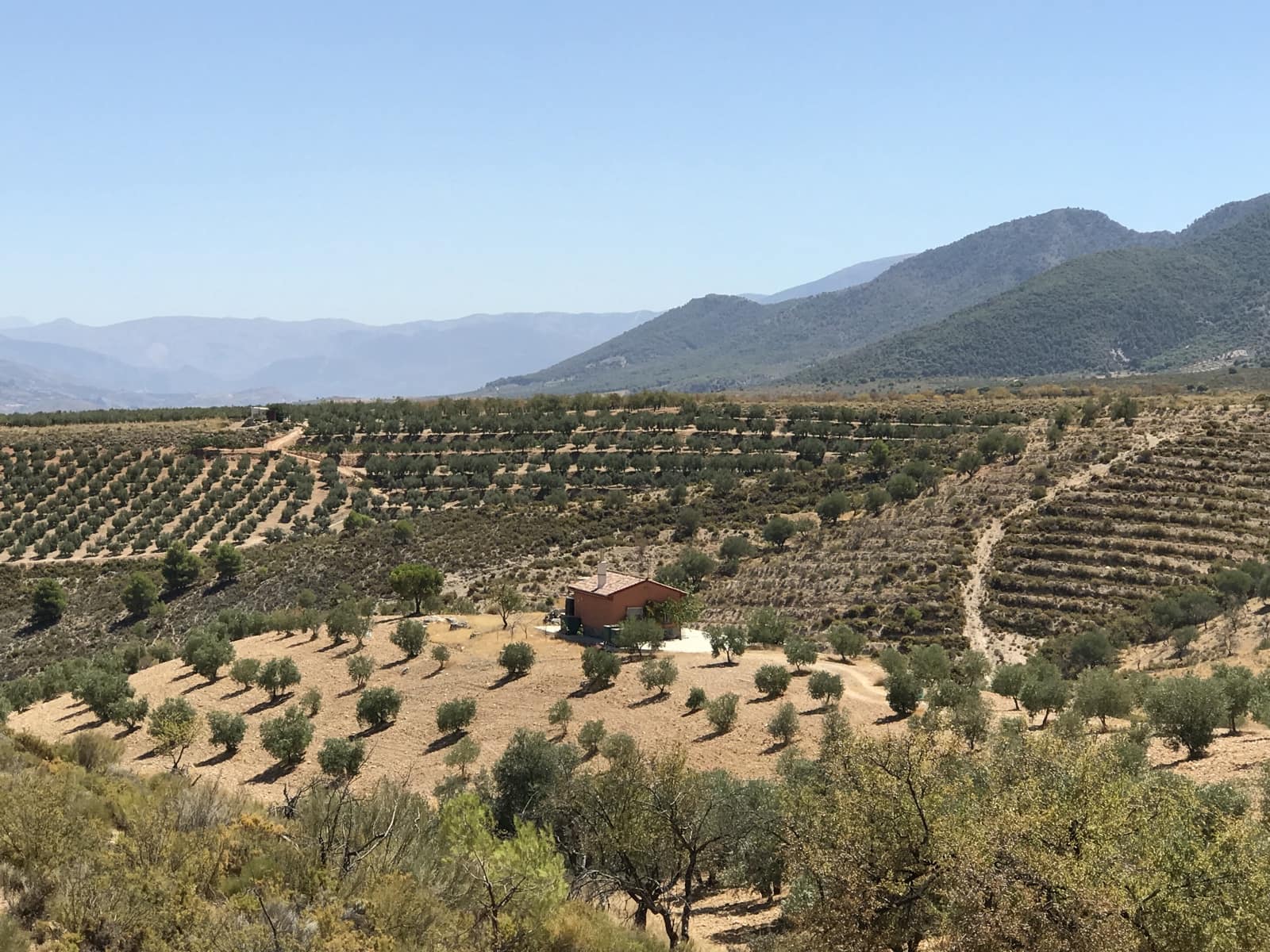 Ubebygd land til salgs i Albunuelas - € 150 000 (Ref: 6898393)