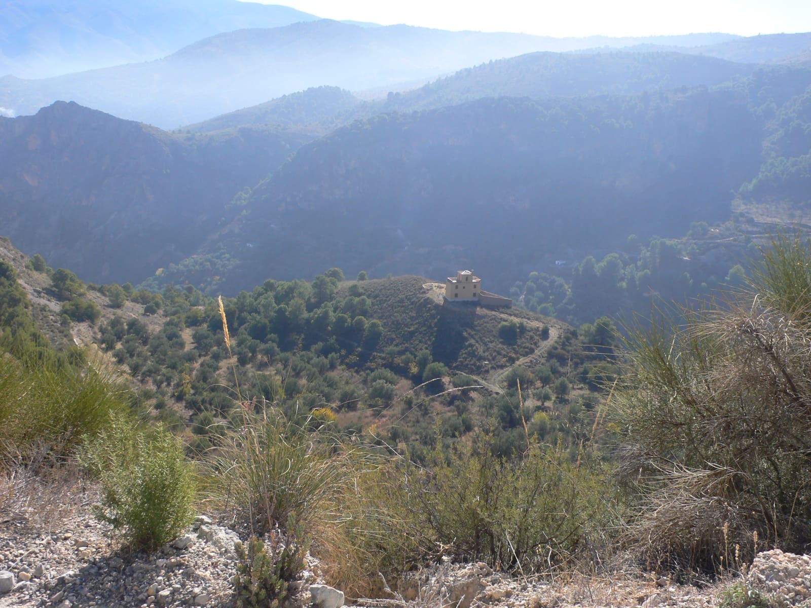 Ubebygd land til salgs i Pinos del Valle - € 95 000 (Ref: 6898398)