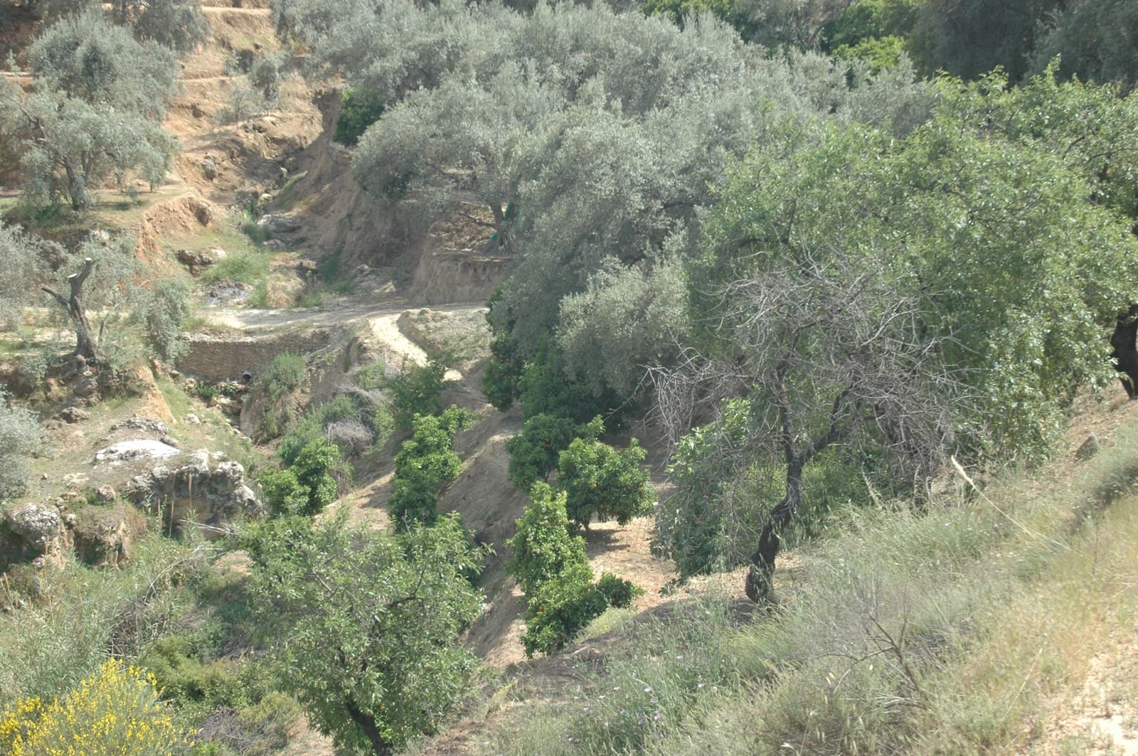 Mark till salu i Saleres - 50 000 € (Ref: 6898406)