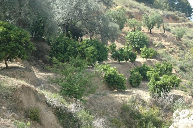 Teren niezagospodarowany na sprzedaż w Saleres, El Valle - 50 000 € (Ref: 6898406)