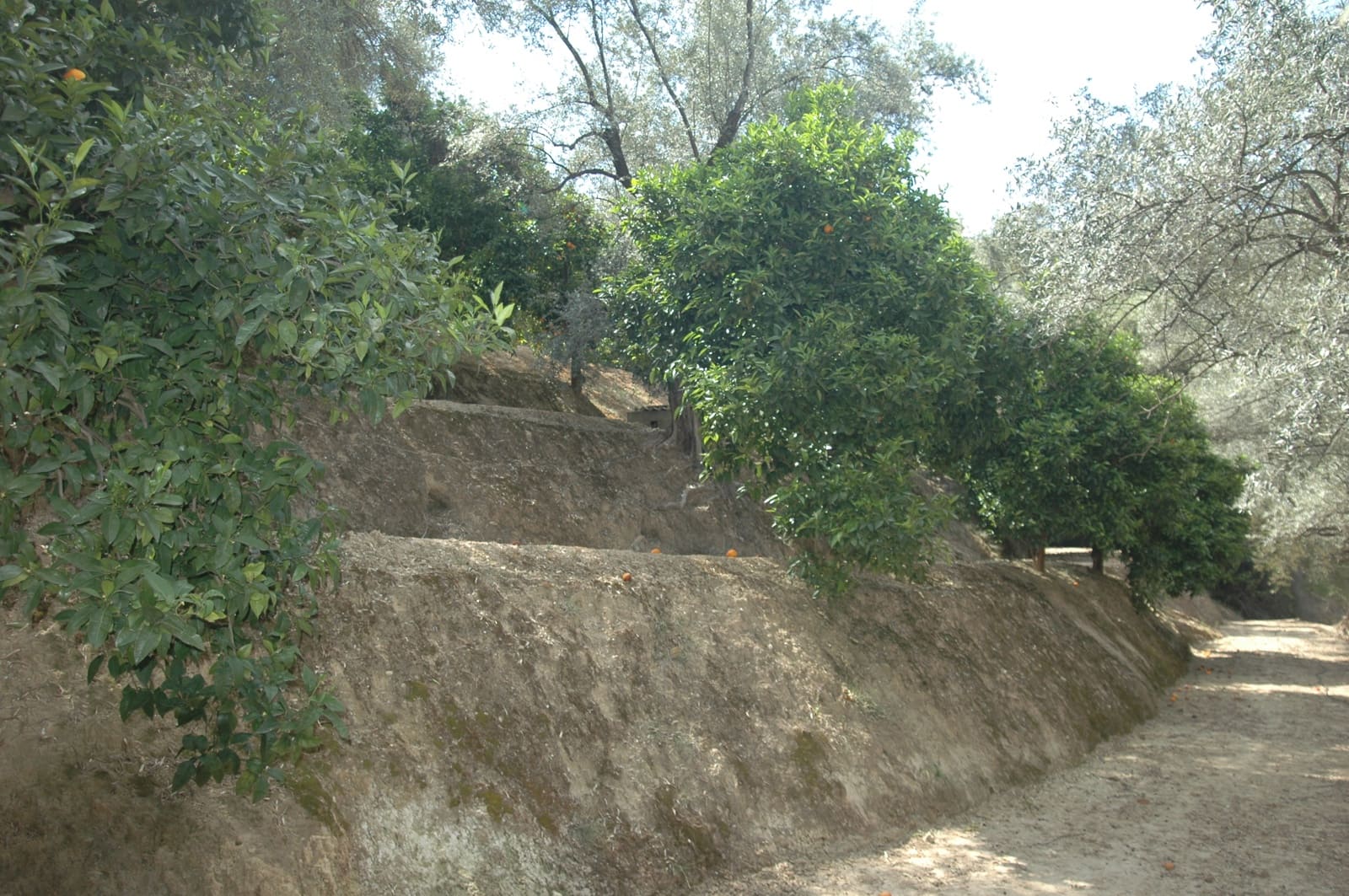 Mark till salu i Saleres - 50 000 € (Ref: 6898406)