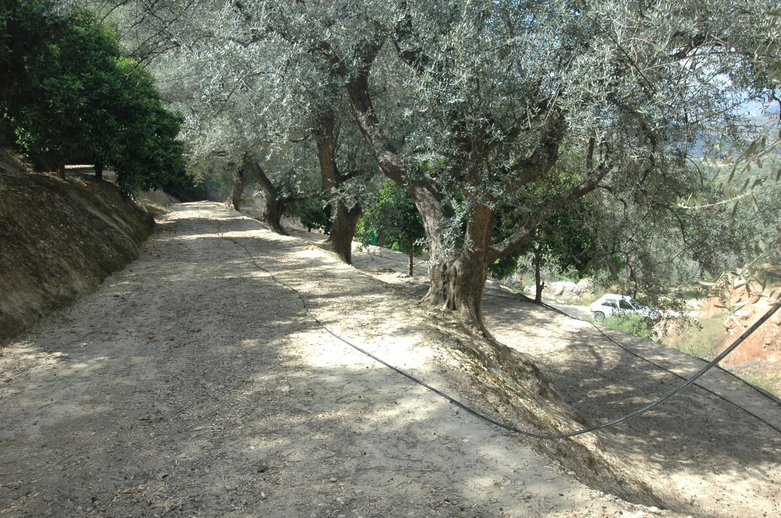 Mark till salu i Saleres - 50 000 € (Ref: 6898406)