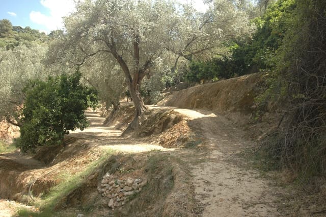 Teren niezagospodarowany na sprzedaż w Saleres, El Valle - 50 000 € (Ref: 6898406)