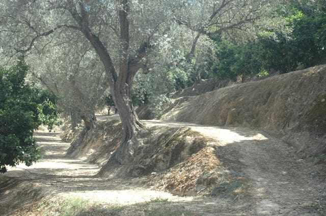 Teren niezagospodarowany na sprzedaż w Saleres, El Valle - 50 000 € (Ref: 6898406)