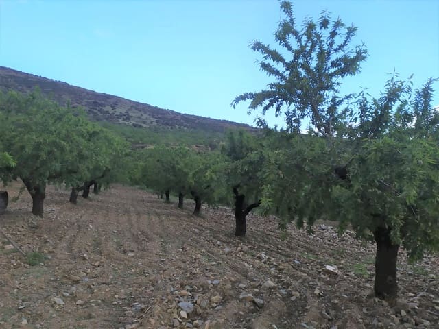 2 soveværelse Byhus til salg i Mondujar, Lecrín - € 160.000 (Ref: 6902594)