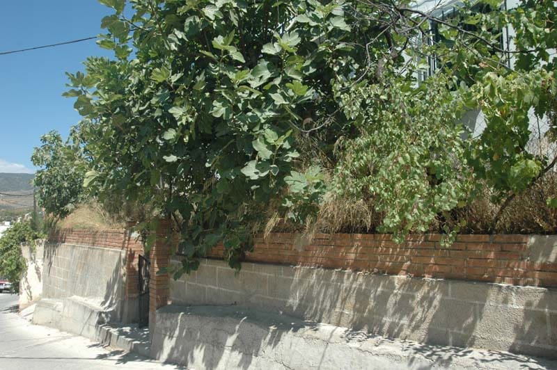 5 soveværelse Byhus til salg i Albunuelas - € 100.000 (Ref: 6902616)