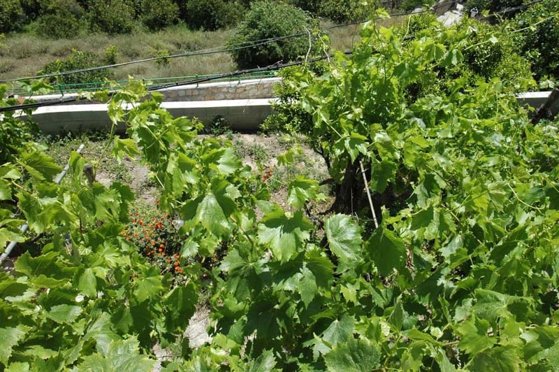 5 soverom Hus til salgs i Granada by - € 183 500 (Ref: 6902645)