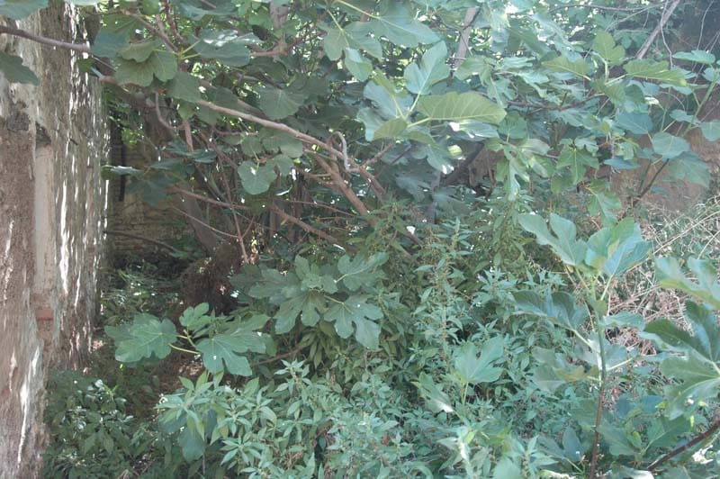 Byhus til salg i Murchas - € 77.000 (Ref: 6902653)