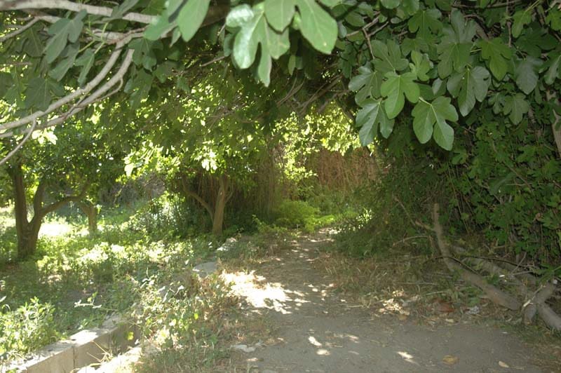 Byhus til salg i Murchas - € 77.000 (Ref: 6902653)