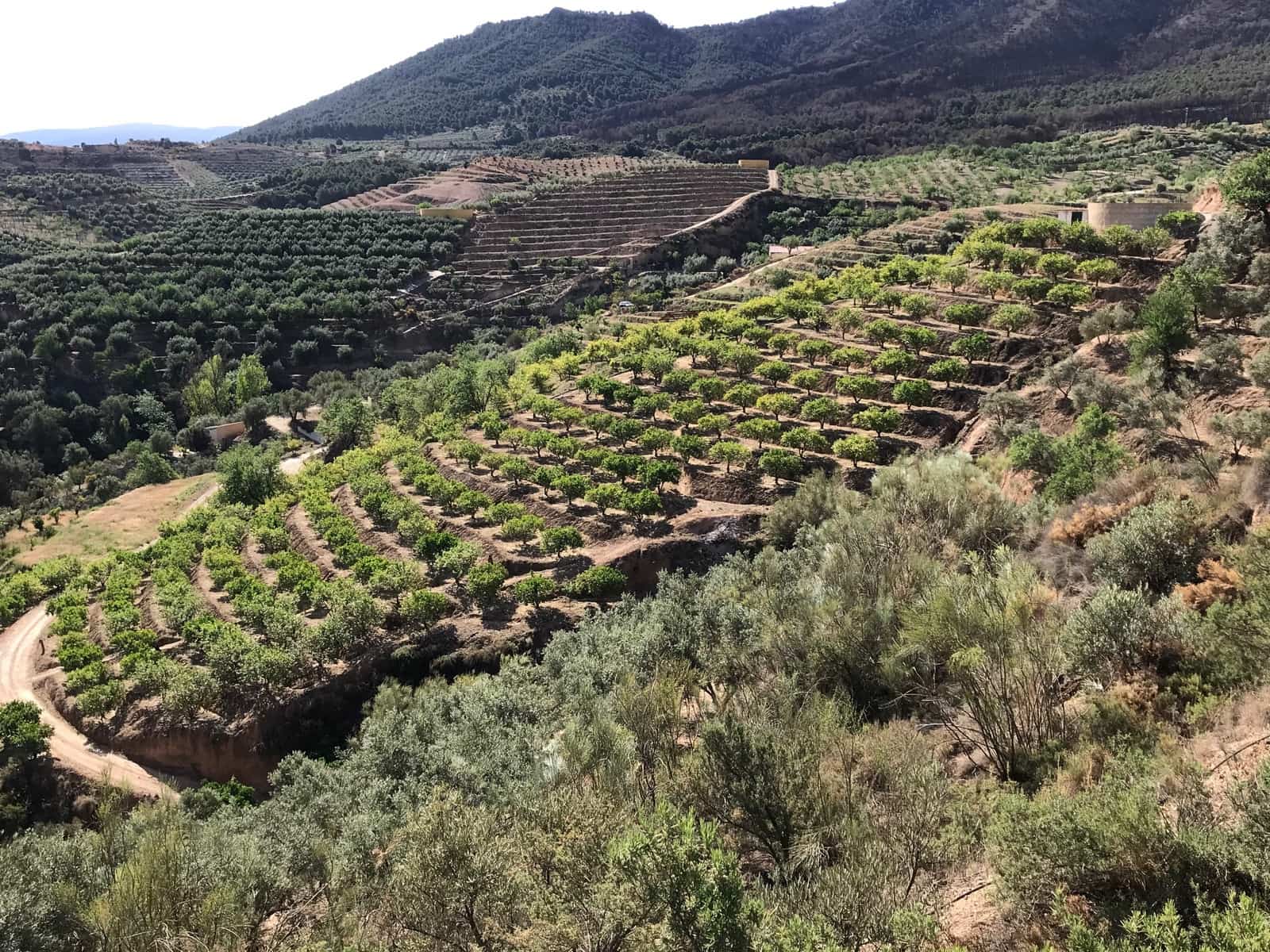 Grunde uden byggetilladelser til salg i Restabal - € 50.000 (Ref: 7513361)