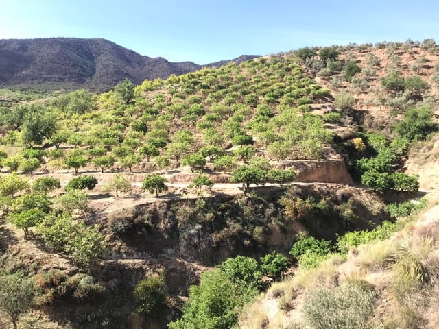 Ubebygd land til salgs i Restabal, El Valle - € 50 000 (Ref: 7513361)