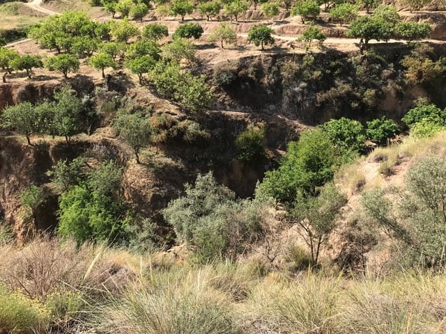 Ubebygd land til salgs i Restabal, El Valle - € 50 000 (Ref: 7513361)