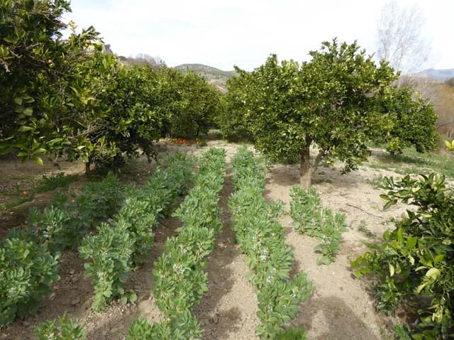 Grond te koop in Lecrín - € 39.000 (Ref: 8096564)