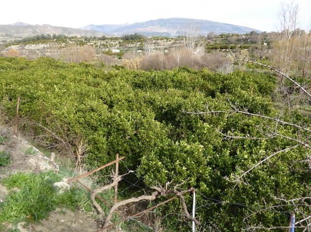 Grond te koop in Lecrín - € 39.000 (Ref: 8096564)