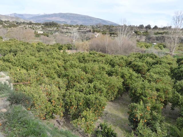 Grond te koop in Lecrín - € 39.000 (Ref: 8096564)