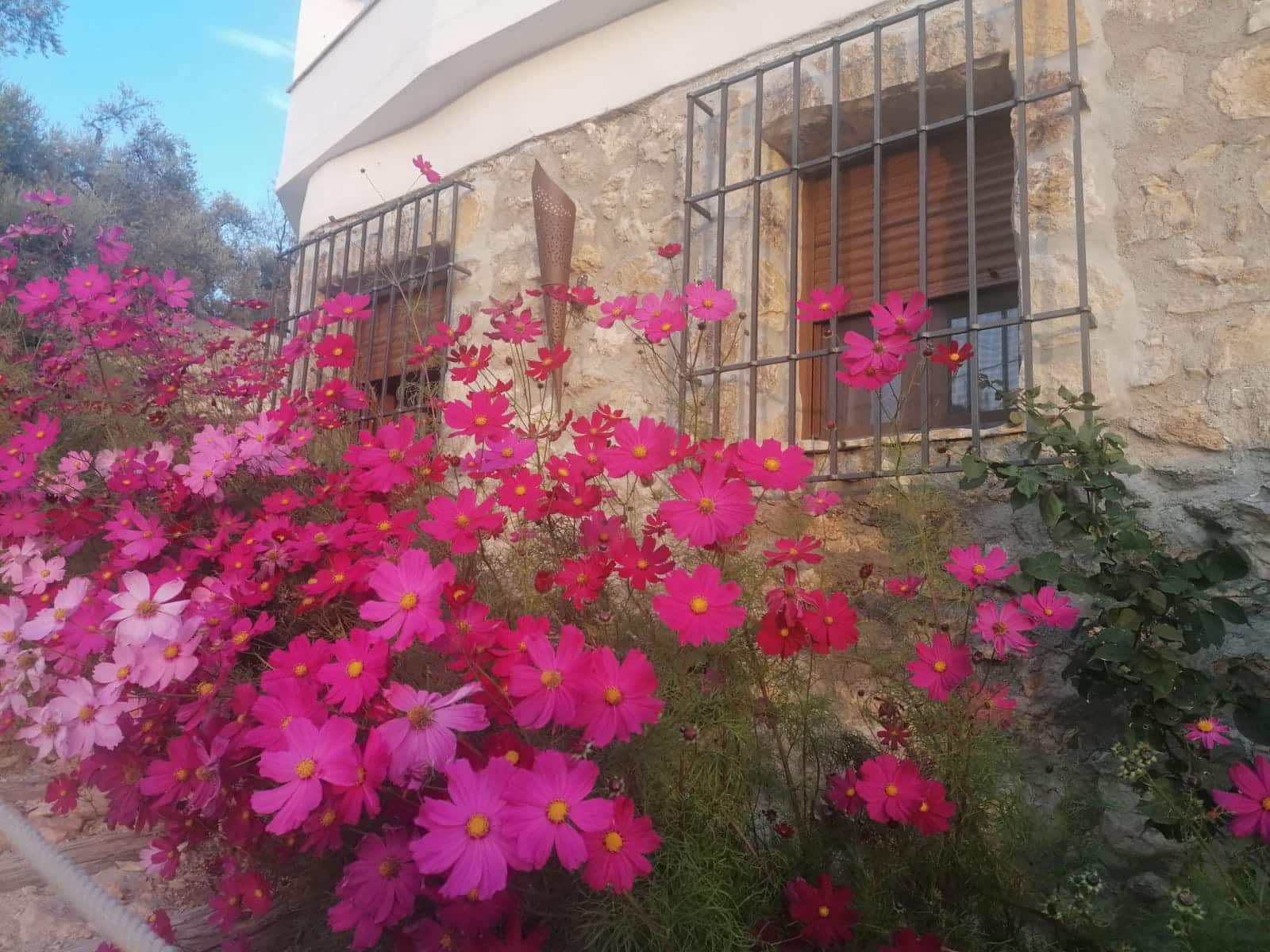 4 soveværelse Virksomhed til salg i Lanjaron med swimmingpool garage - € 580.000 (Ref: 8152714)