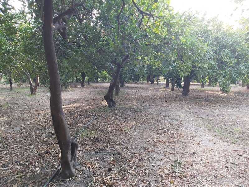 3 soveværelse Byhus til salg i Lecrin med garage - € 165.000 (Ref: 8244306)