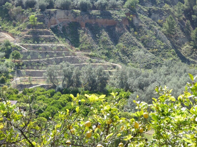 3 soveværelse Byhus til salg i Lecrin med garage - € 165.000 (Ref: 8244306)