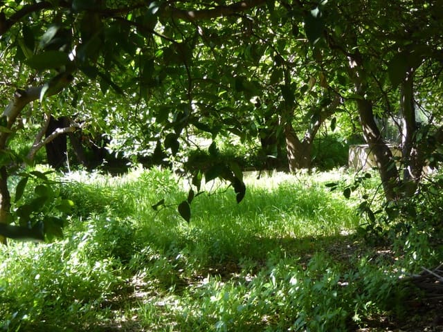 3 soveværelse Byhus til salg i Lecrín med garage - € 165.000 (Ref: 8244306)